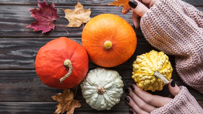 woman holding mini pumpkins