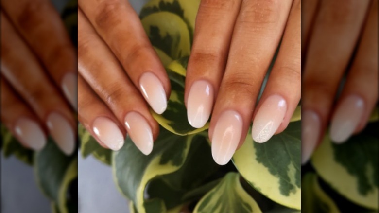 ombre french manicure