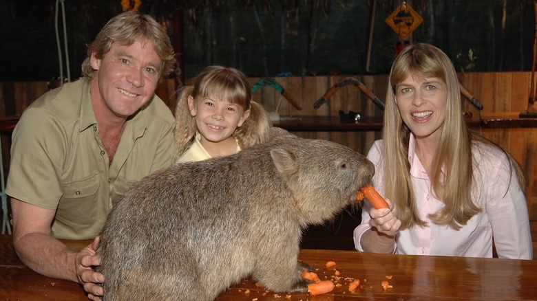 Steve Irwin, Bindi Irwin, and Terri Irwin feeding a wombat
