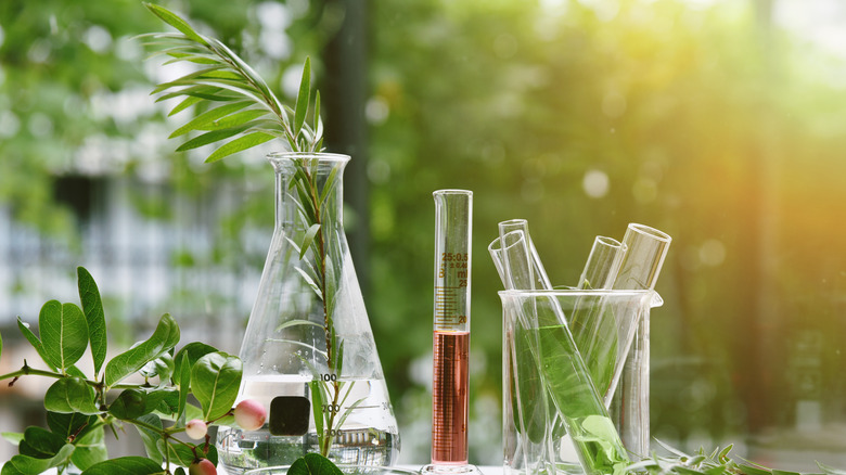 chemicals skincare