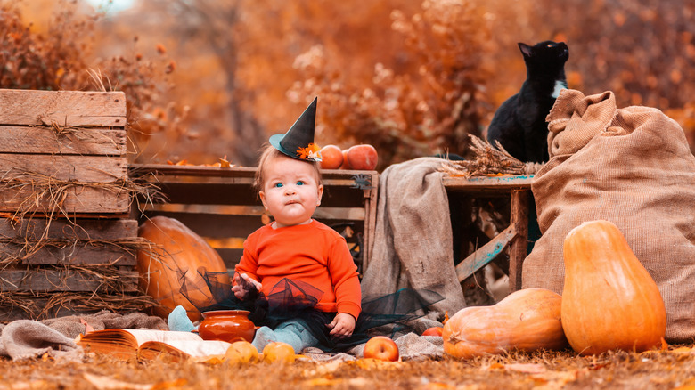 A baby in a pumpkin costume in a fall setting with a black cat.