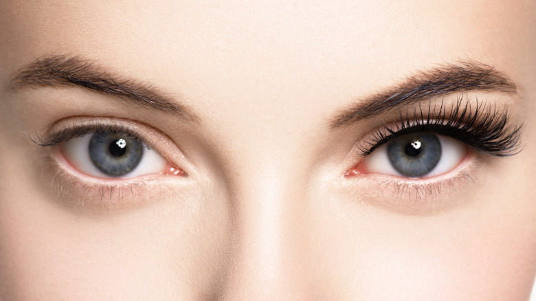Woman's false eyelash comparison 