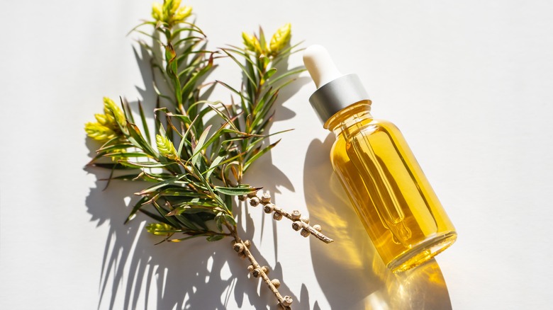 15 Essential Oils For Reducing Scars