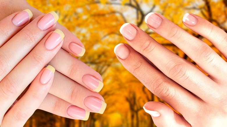 Yellow neon French manicure on long nails with black stripes and dots  close-up on a white background. Sophisticated gel nail design. Bolero nail  shape. Stock Photo | Adobe Stock