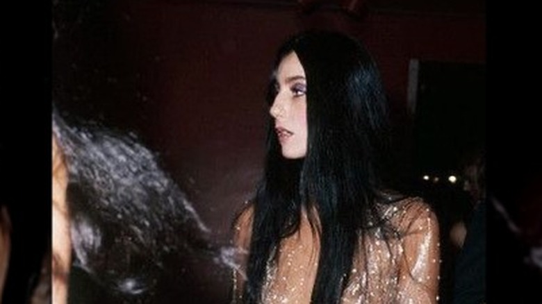 Cher at 1974 Met Gala