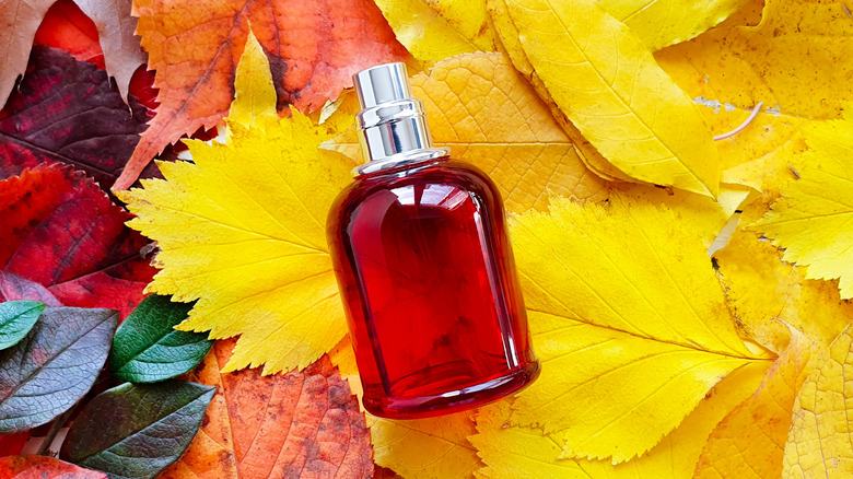 Perfume fragrance bottle lying on fall leaves