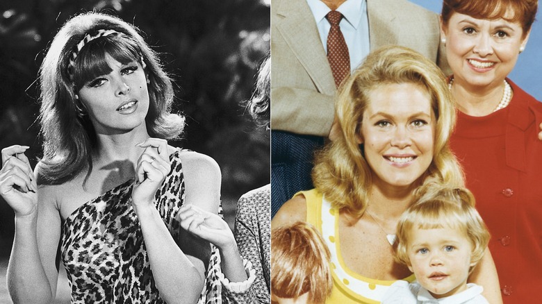 Tina Louise in "Gilligan's Island" and the cast of "Bewitched"