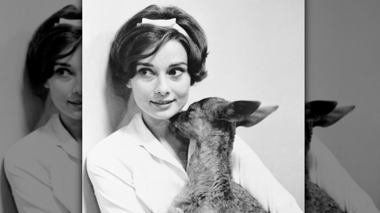 Animal lover Audrey Hepburn holding her pet fawn