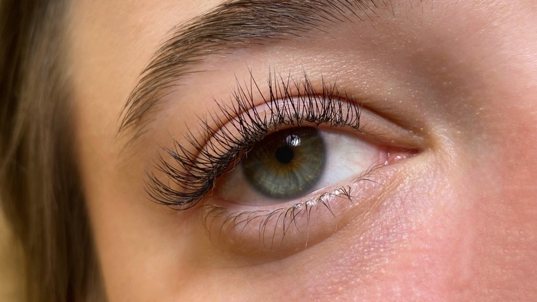 close up of eyelashes