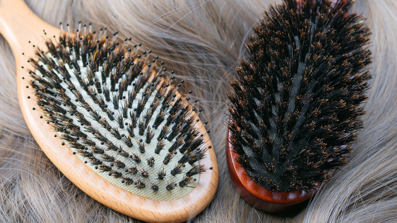 Boar bristle brush 