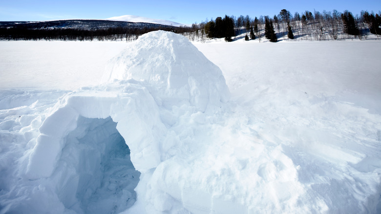 snow fort