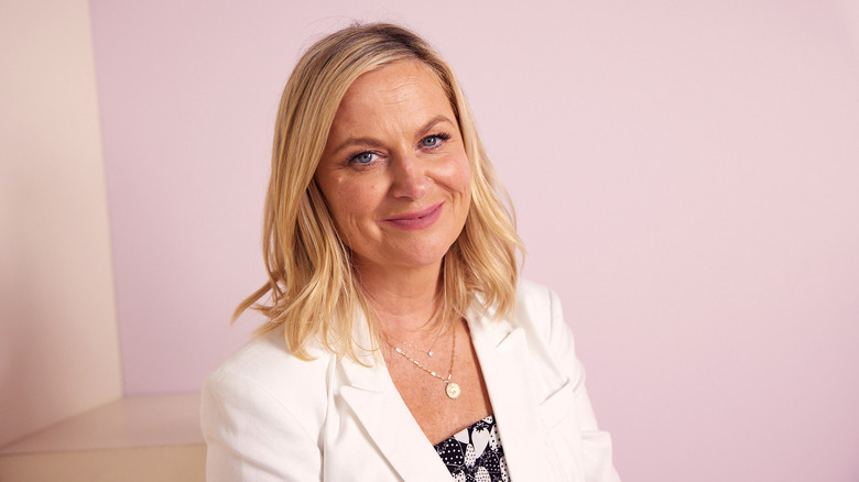 Amy Poehler wearing a sequined pink dress 