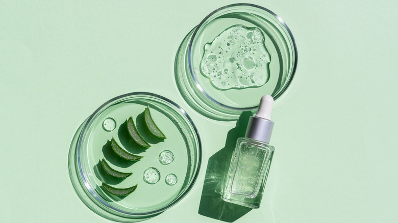 Aloe vera skincare on green