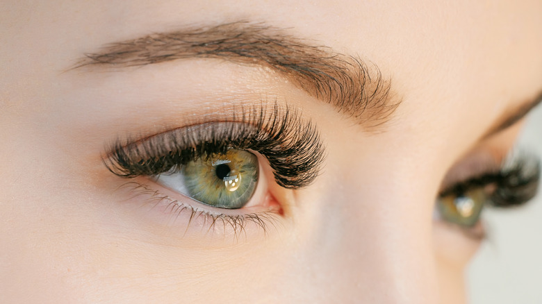 Close-up of long eyelashes