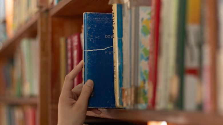 An out-of-focus shows a bookshelf with a hand pulling out one of the books