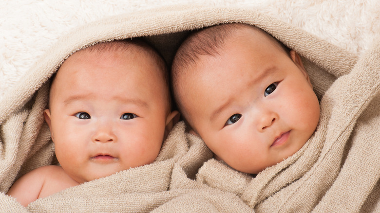 Twin babies lying in a taupe jacket