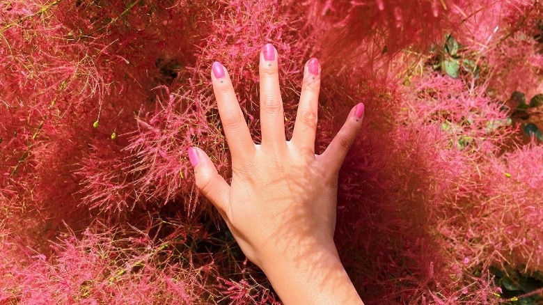 Hot pink manicure