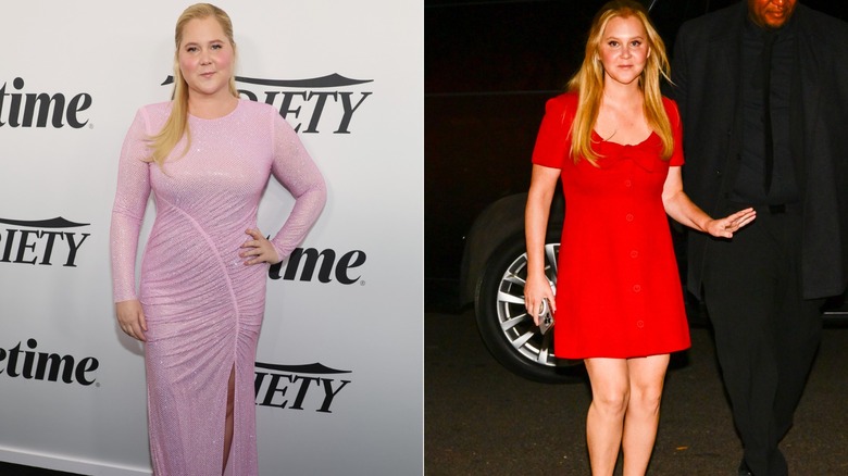 Amy Schumer in 2024 and 2025