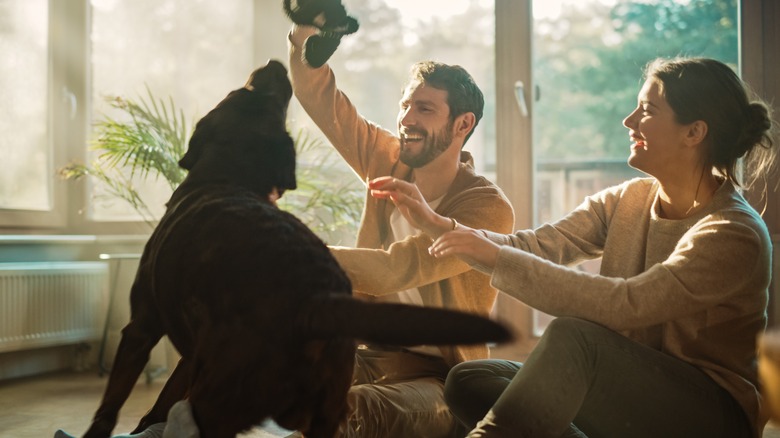 Couple playing with their dog