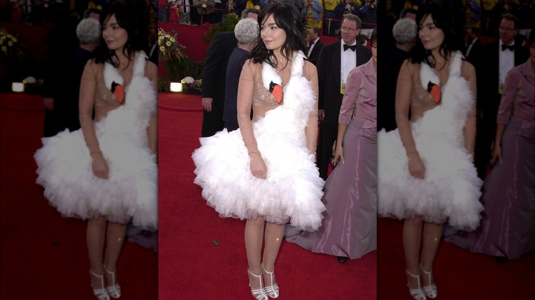 bjork in swan dress