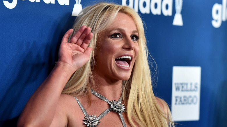 A Look At Britney Spears' Jarring Face Transformation Through The Years