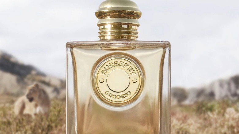 Burberry Goddess perfume
