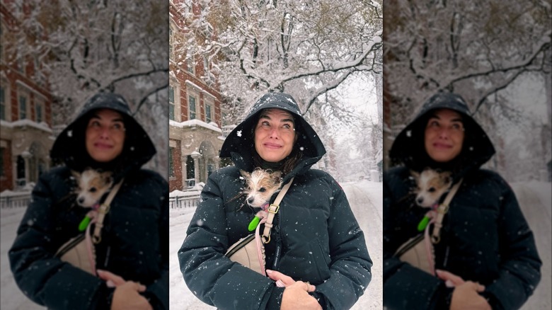 Brooke Shields in a candid photo wearing a hooded jacket with her dog tucked in outside in the snow.