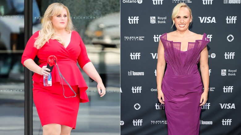 Side-by-side of Rebel Wilson in 2018 and 2024.