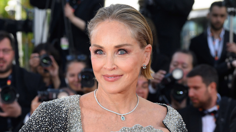 Sharon Stone posing on the red carpet wearing a sparkly dress with a diamond necklace and slicked-back hair.