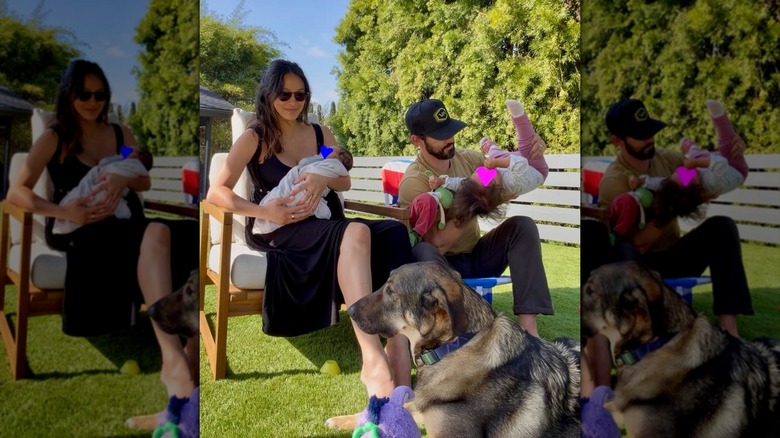 Milo Ventimiglia and Jarah Mariano with their kids and their dog