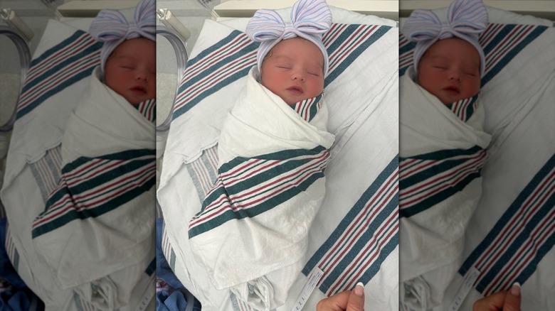 An arrival photo of Rebel Wilson's daughter Rose Estelle