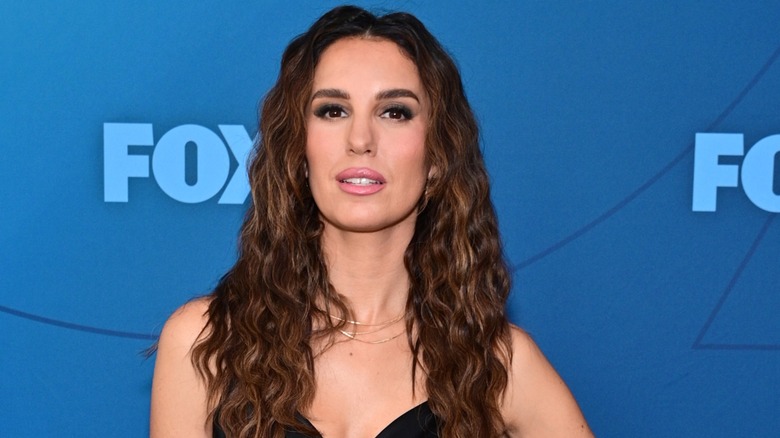 Christy Carlson Romano in 2024