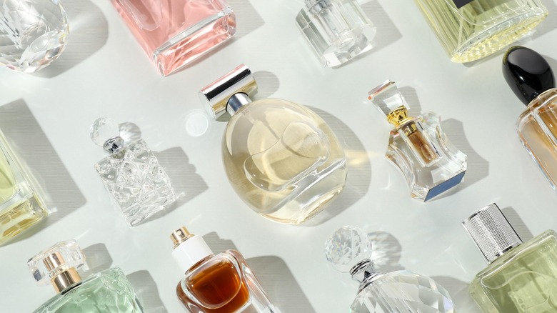 An array of different perfume bottles.
