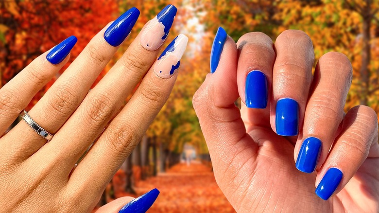 Hands with cobalt blue nails, fall background