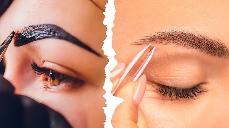 Composite image women's eyebrows