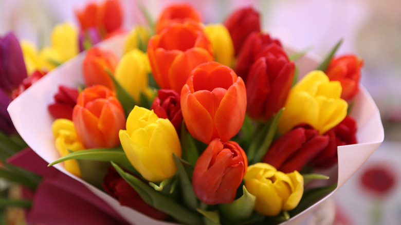 bouquet of flowers