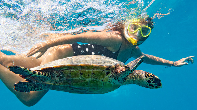 woman swimming with sea turtle