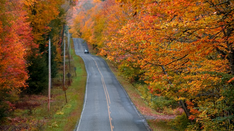 A scenic drive