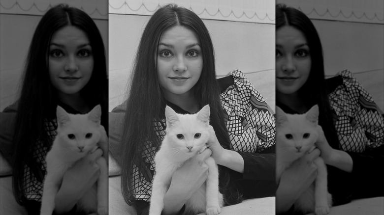 A portrait of Victoria Principal in 1970 with pin-straight brown hair holding a white cat.