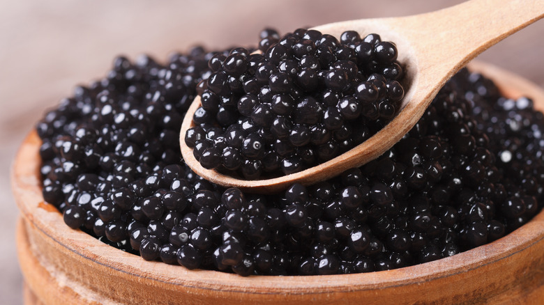 caviar in wooden spoon