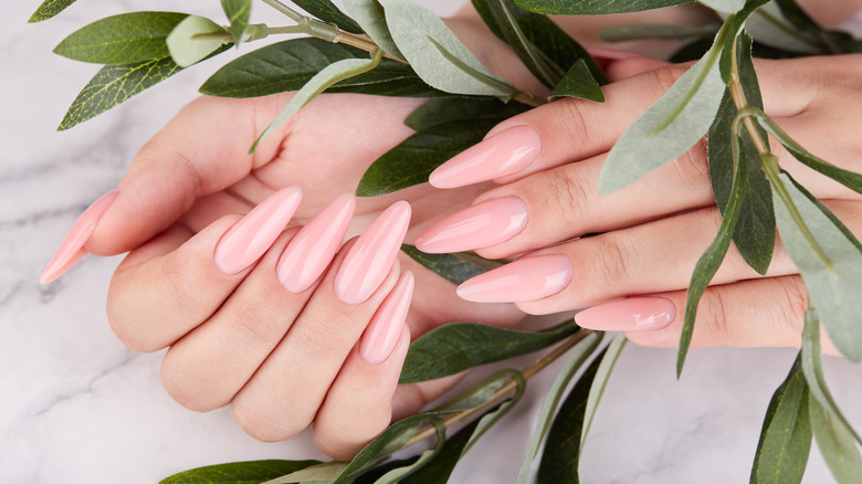 long acrylic nails mixed within plants