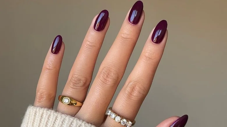 Glossy Eggplant