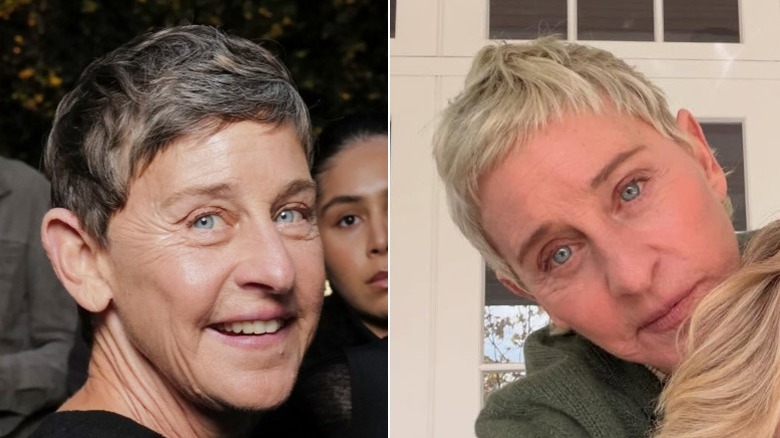 Ellen DeGeneres at a party with natural hair, and at home with Portia De Rossi, with blond