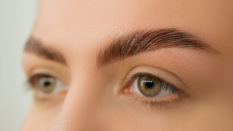 A woman with laminated brows