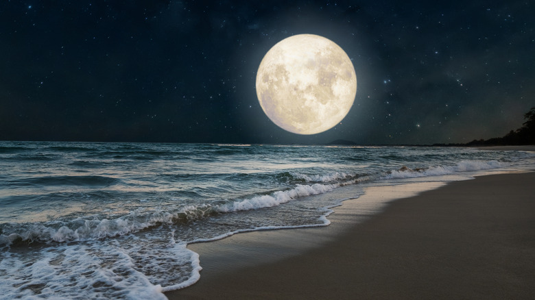 Full moon above the shore 