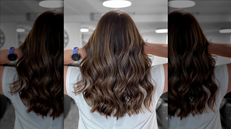 the back of brunette hair
