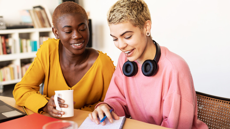 Two women discussing notebook