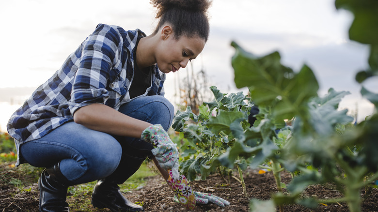 Woman kneeling in garden