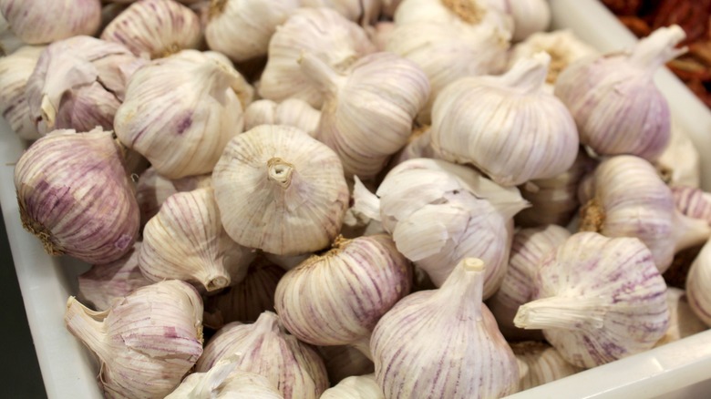 garlic heads