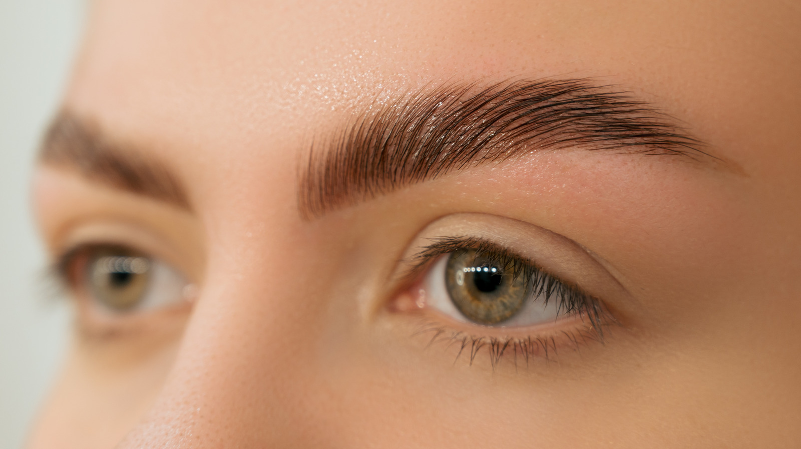 Glam #39 s Exclusive Survey Uncovers The Most Popular Eyebrow Treatment Glam #39 s Exclusive Survey Uncovers The Most Popular Eyebrow Treatment